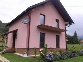  VIOLETA  Мокра Гора